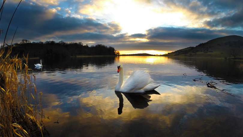 Lough Gur, Co. Limerick