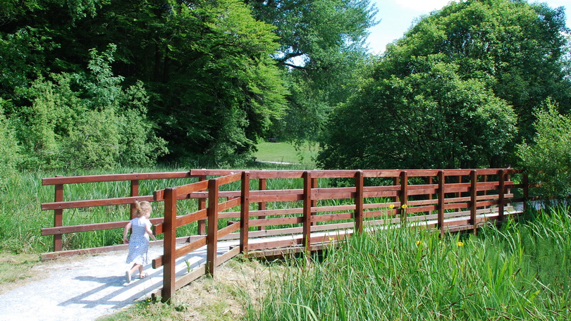 Curraghchase Forest Park