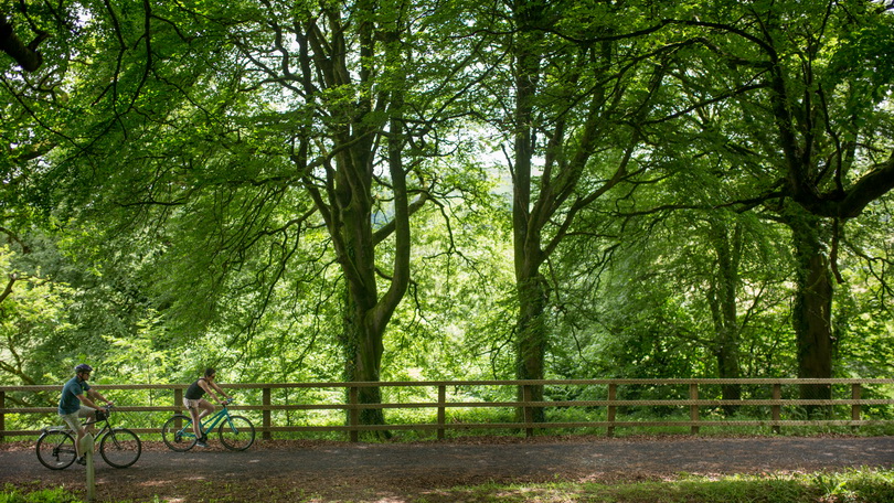 Great Southern Greenway Limerick