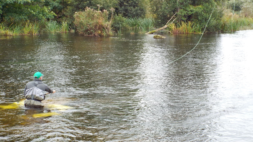 Fly fishing in Castleconnell, Co. Limerick.