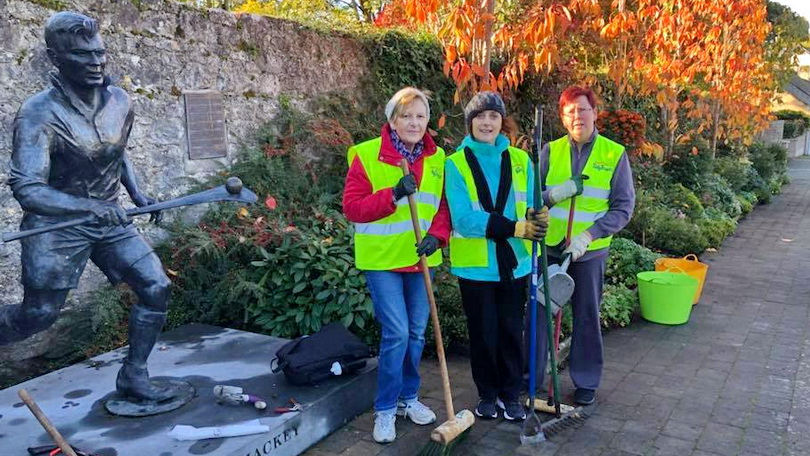 Community tidy towns