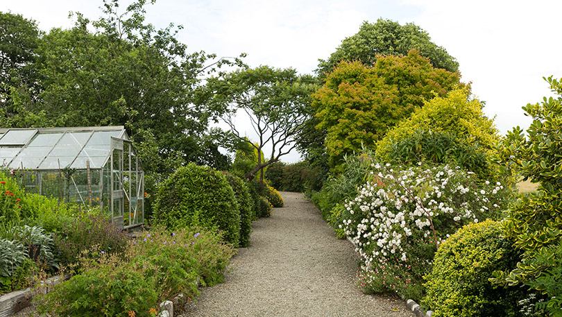 The Mustard Seed Garden (Pic True Media)