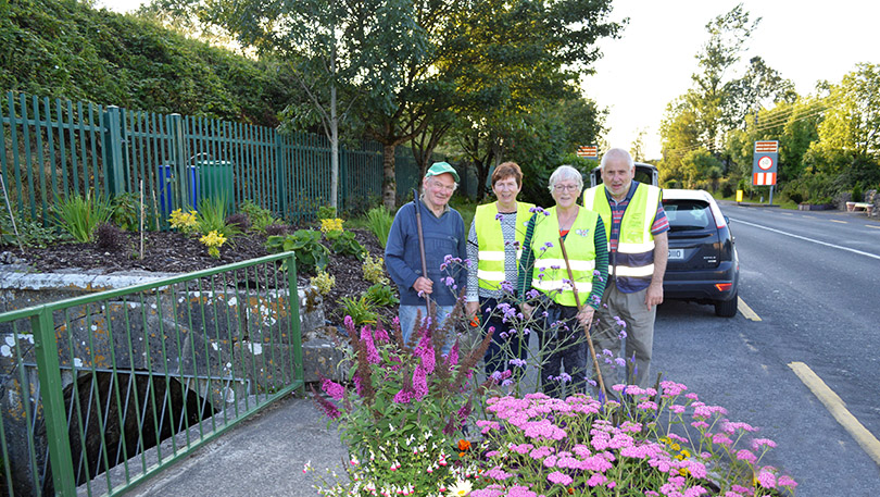 Oola- National Tidy Towns Competition