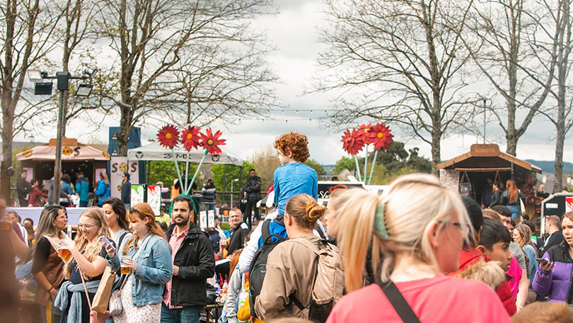 Limerick Riverfest