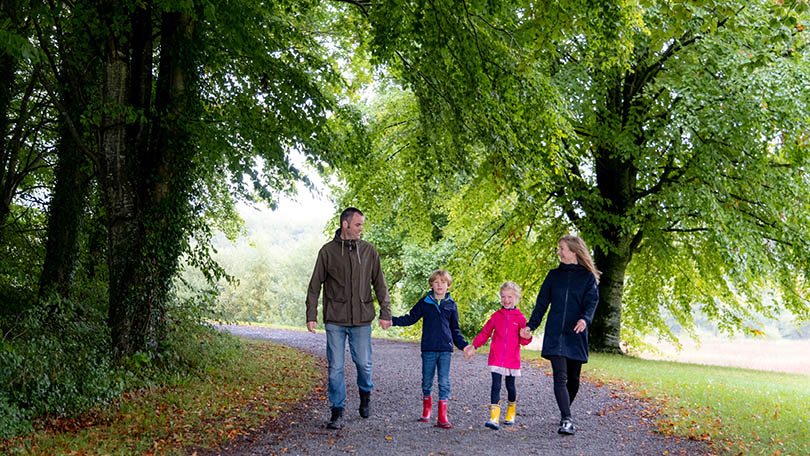 Curraghchase Forest Park, Co. Limerick. Photo: Paul Corey