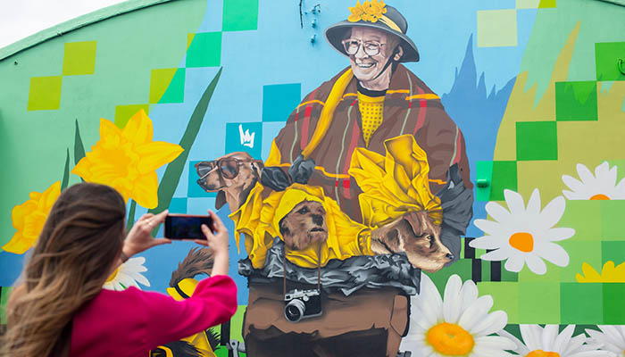 Woman taking a photo of street art mural in Limerick